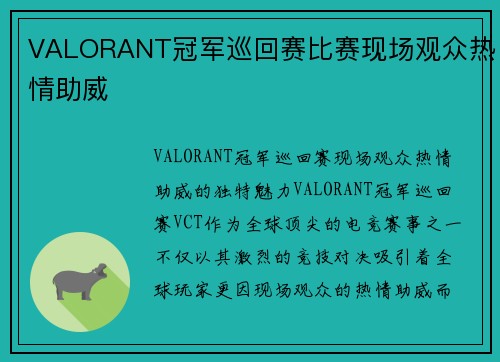 VALORANT冠军巡回赛比赛现场观众热情助威