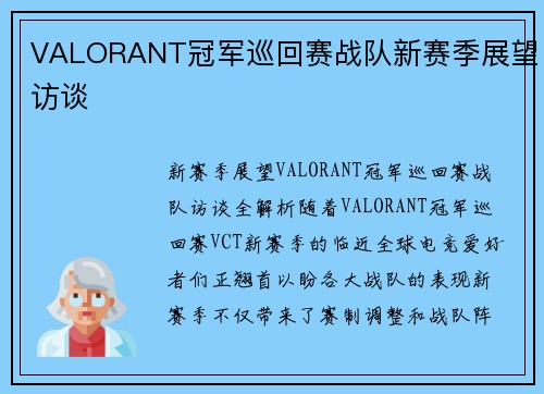 VALORANT冠军巡回赛战队新赛季展望访谈